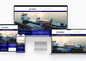 TUBAVS website presentation